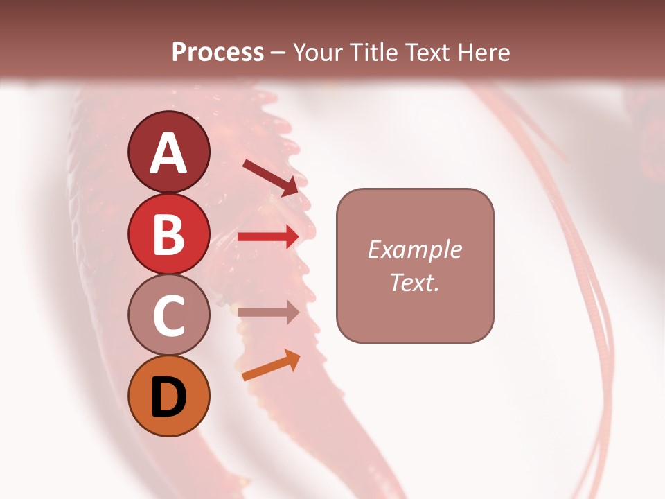 Color Crustacean Close Up PowerPoint Template