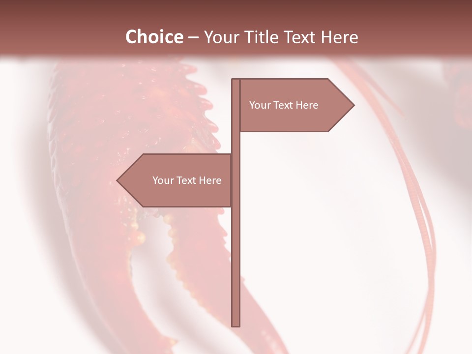 Color Crustacean Close Up PowerPoint Template