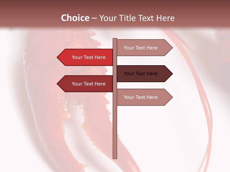 Color Crustacean Close Up PowerPoint Template