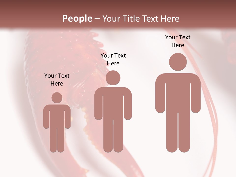 Color Crustacean Close Up PowerPoint Template