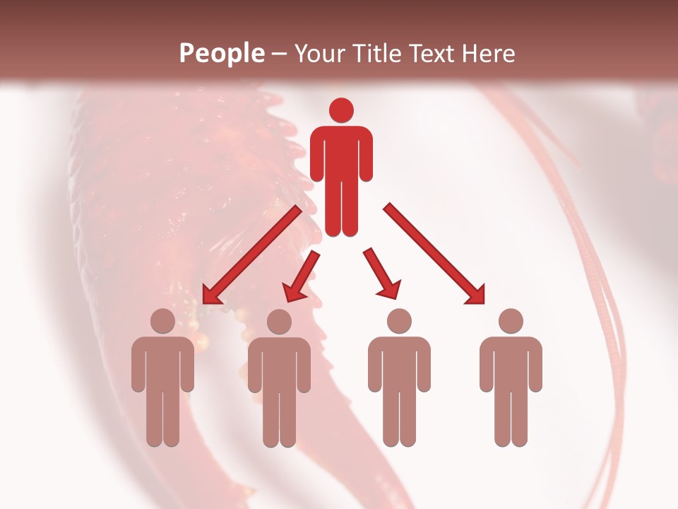 Color Crustacean Close Up PowerPoint Template