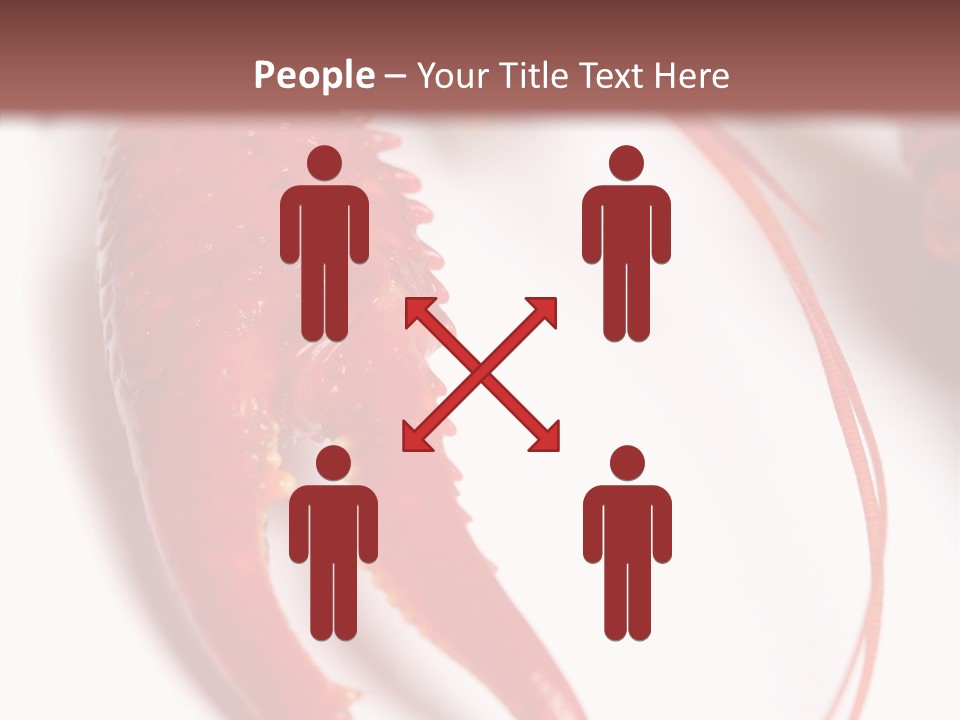 Color Crustacean Close Up PowerPoint Template