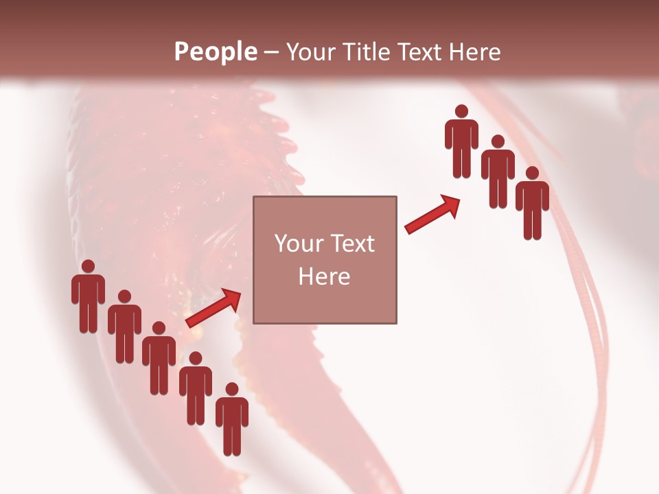 Color Crustacean Close Up PowerPoint Template