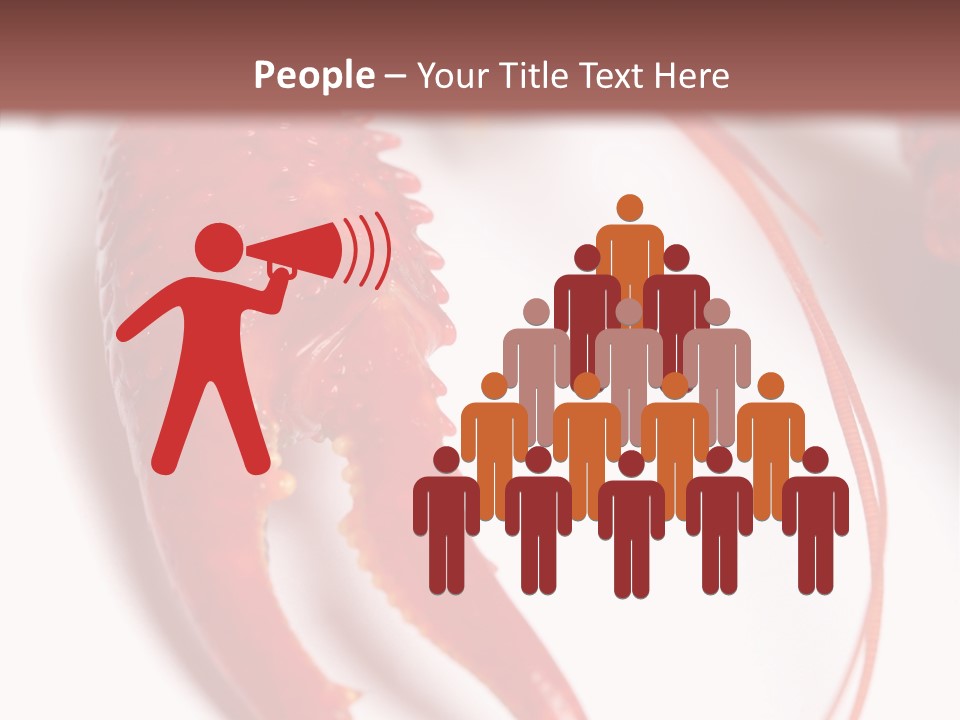 Color Crustacean Close Up PowerPoint Template