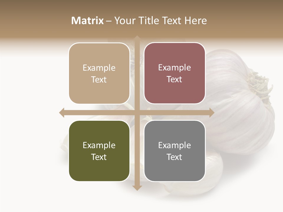 Flavor Allium Bulb PowerPoint Template