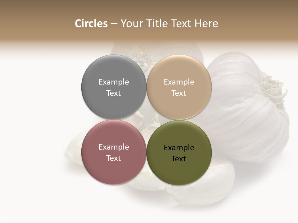 Flavor Allium Bulb PowerPoint Template
