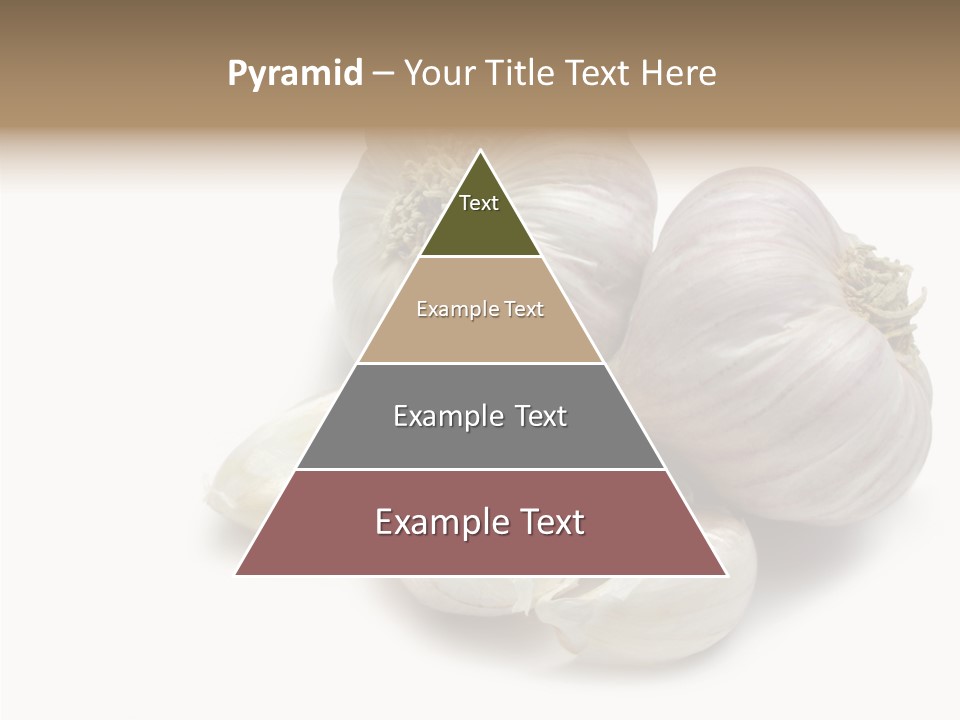 Flavor Allium Bulb PowerPoint Template