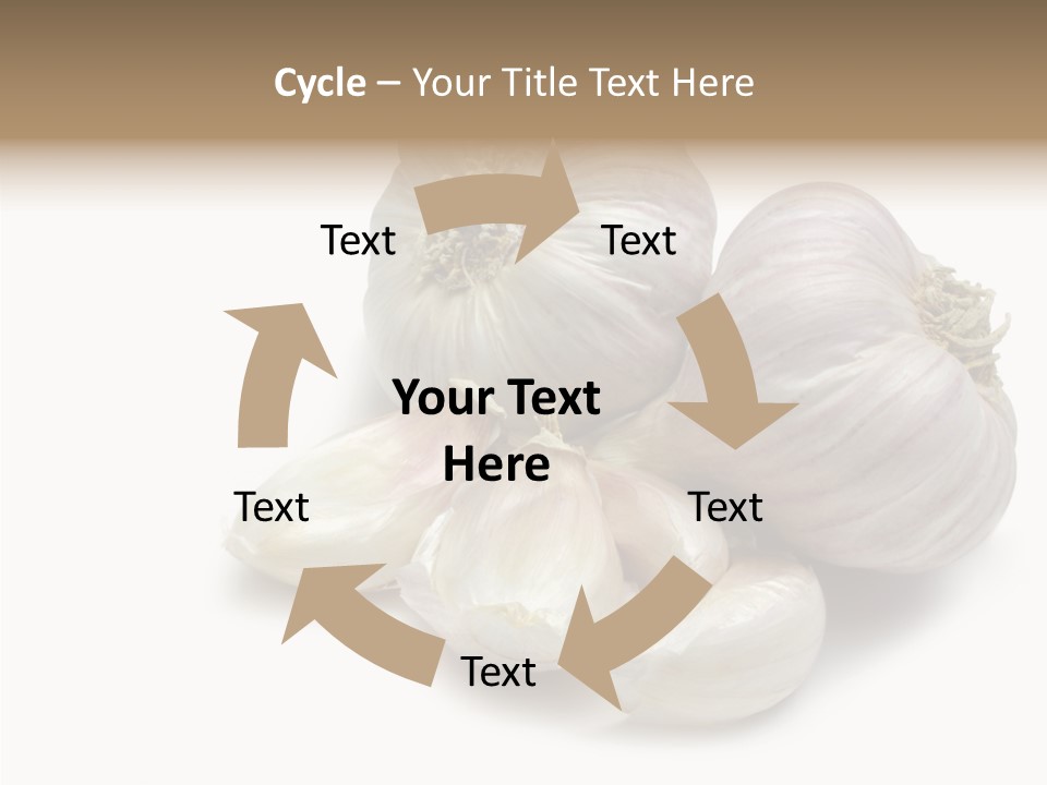 Flavor Allium Bulb PowerPoint Template