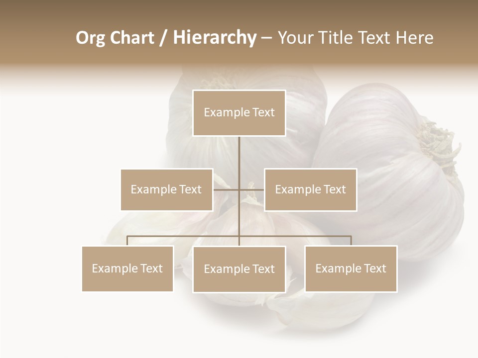 Flavor Allium Bulb PowerPoint Template
