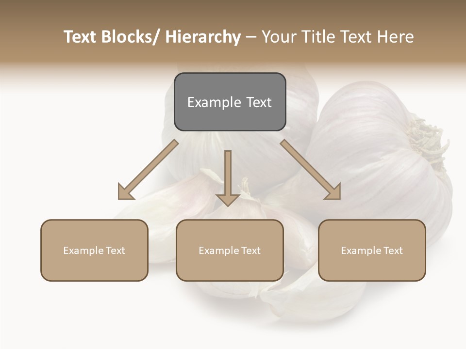 Flavor Allium Bulb PowerPoint Template