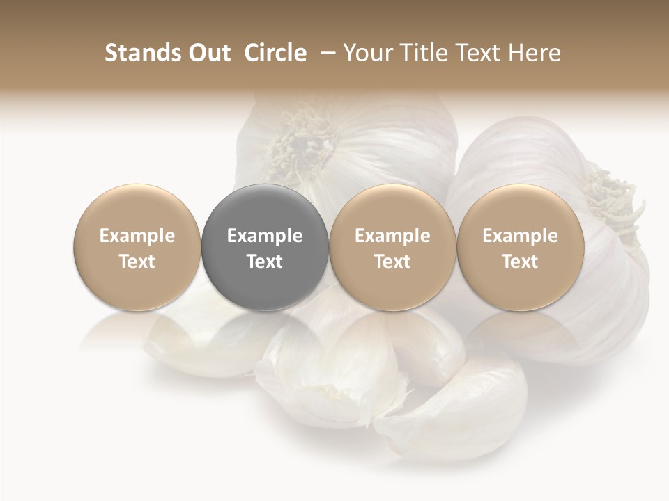 Flavor Allium Bulb PowerPoint Template