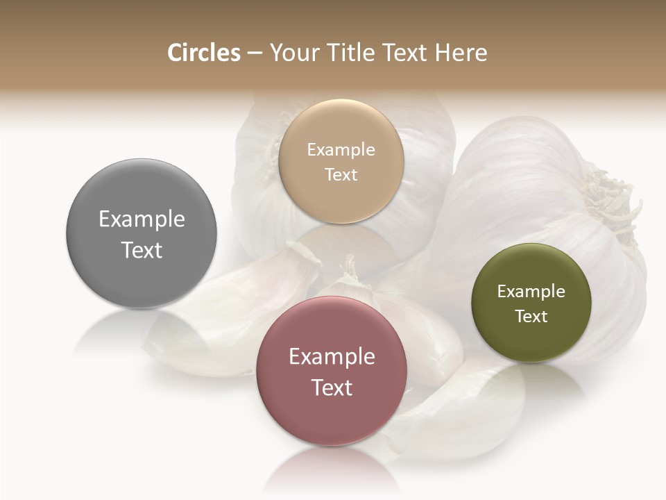 Flavor Allium Bulb PowerPoint Template