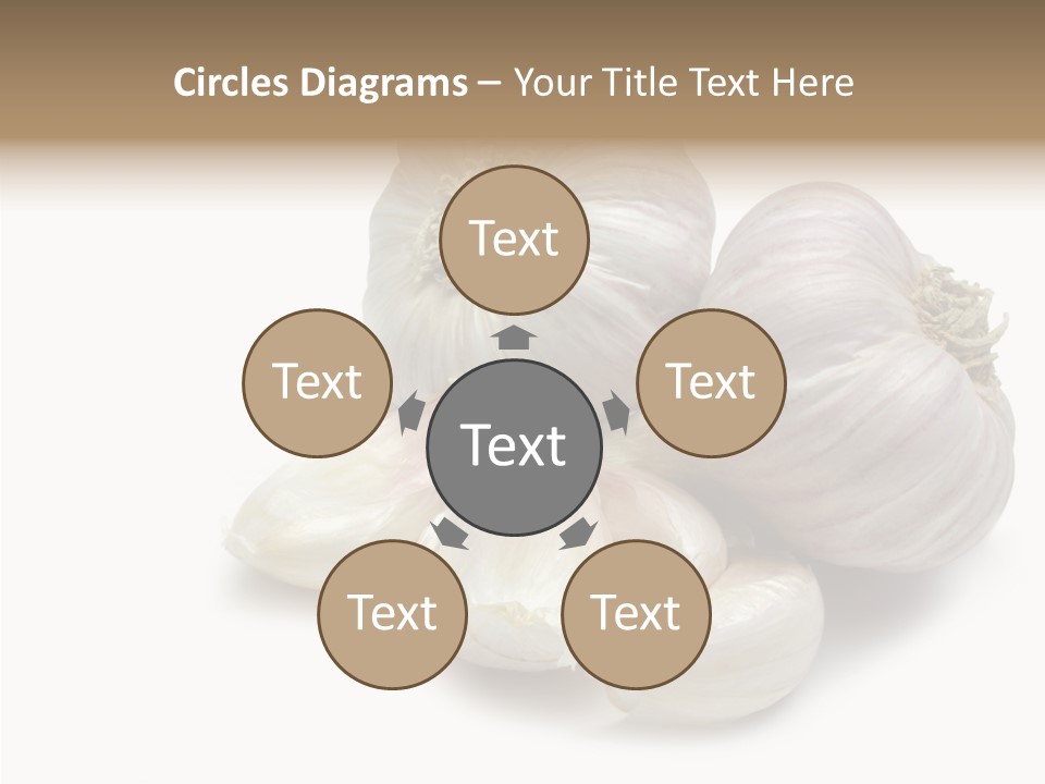 Flavor Allium Bulb PowerPoint Template
