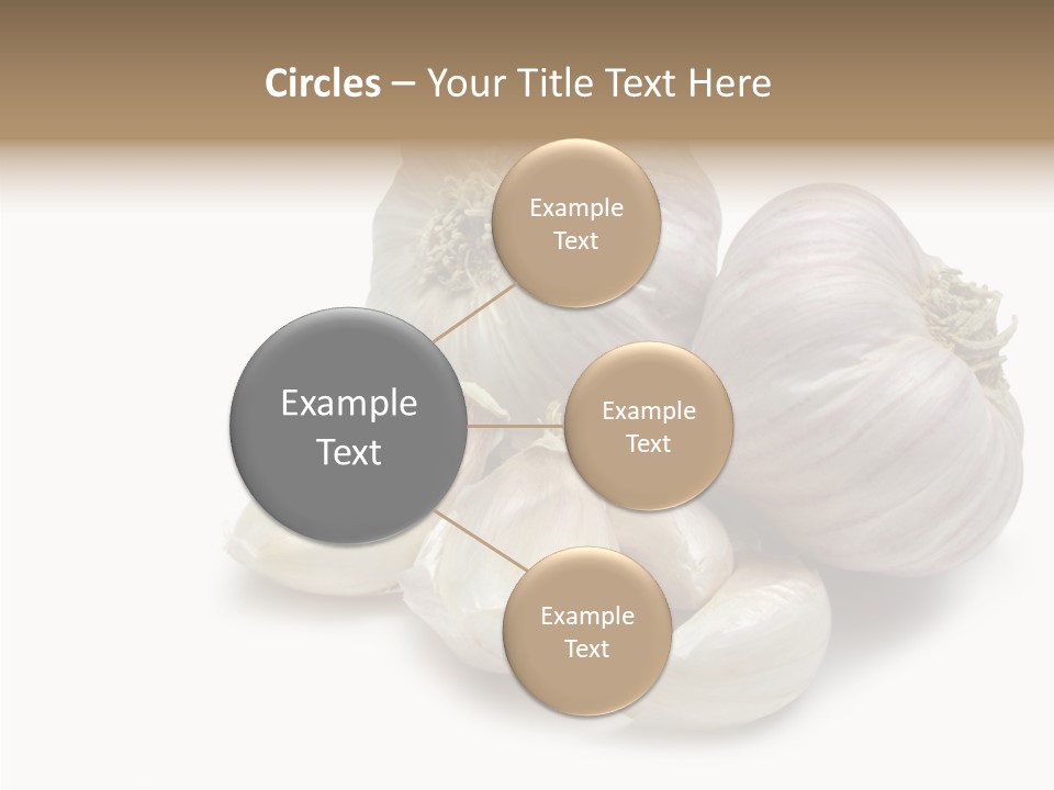 Flavor Allium Bulb PowerPoint Template