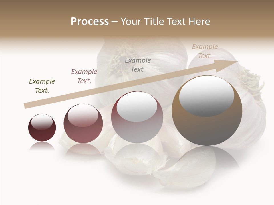 Flavor Allium Bulb PowerPoint Template