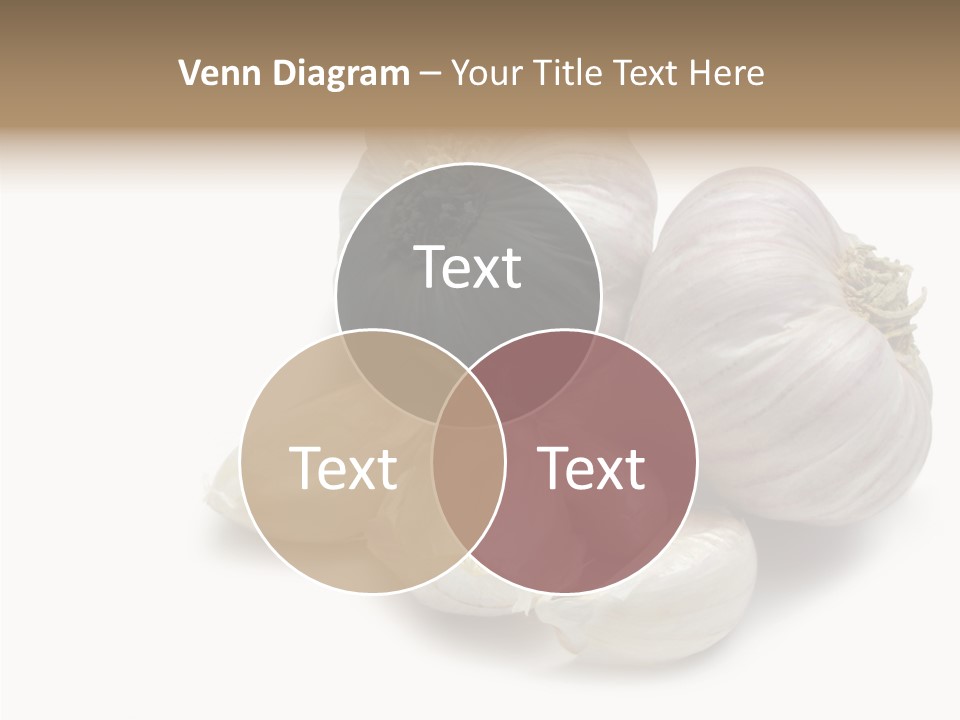 Flavor Allium Bulb PowerPoint Template
