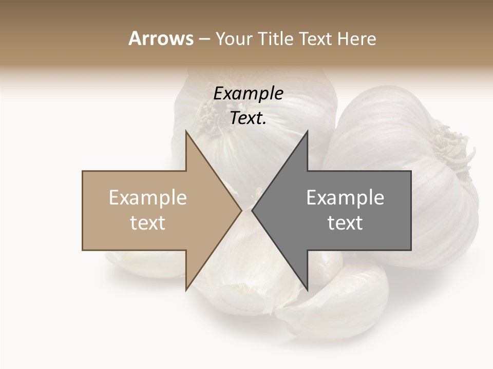 Flavor Allium Bulb PowerPoint Template