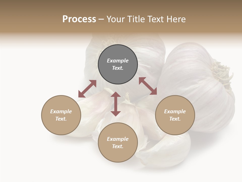 Flavor Allium Bulb PowerPoint Template