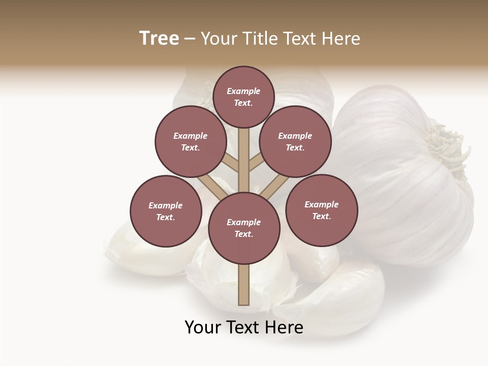 Flavor Allium Bulb PowerPoint Template