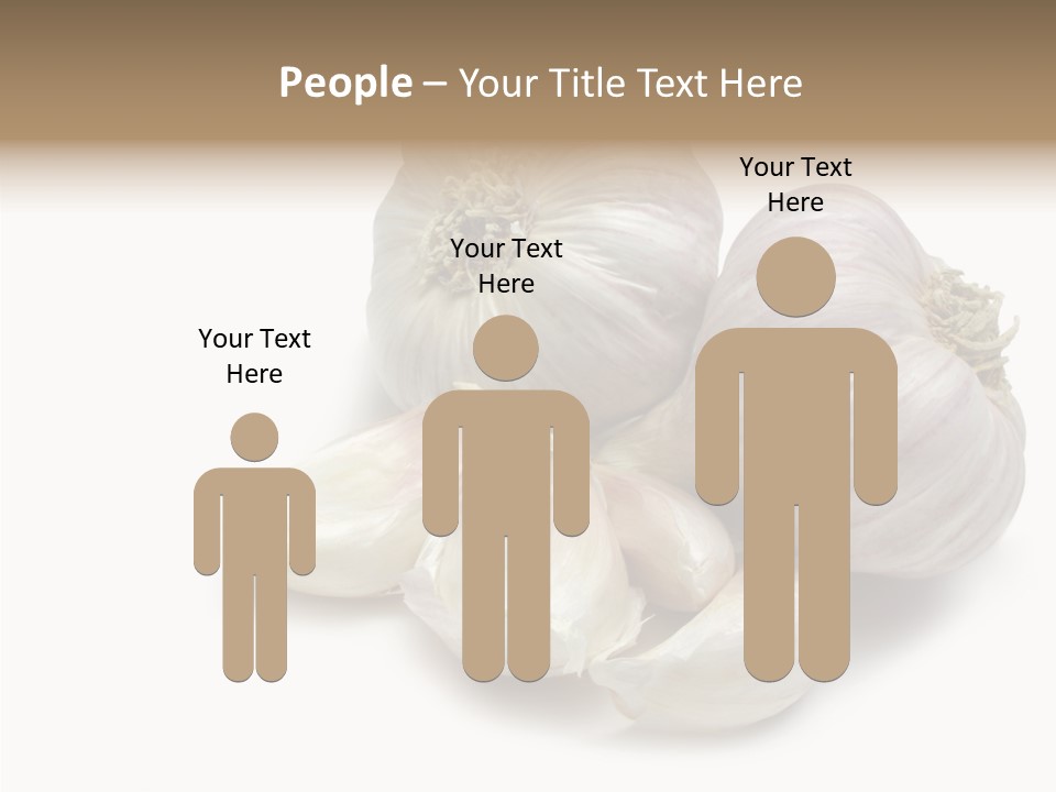 Flavor Allium Bulb PowerPoint Template