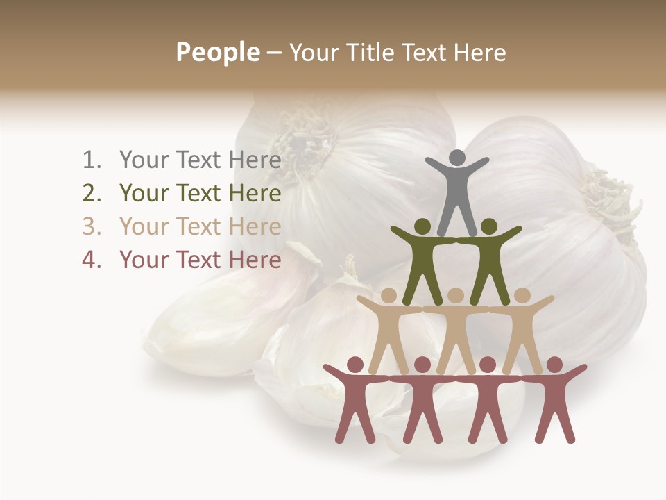 Flavor Allium Bulb PowerPoint Template