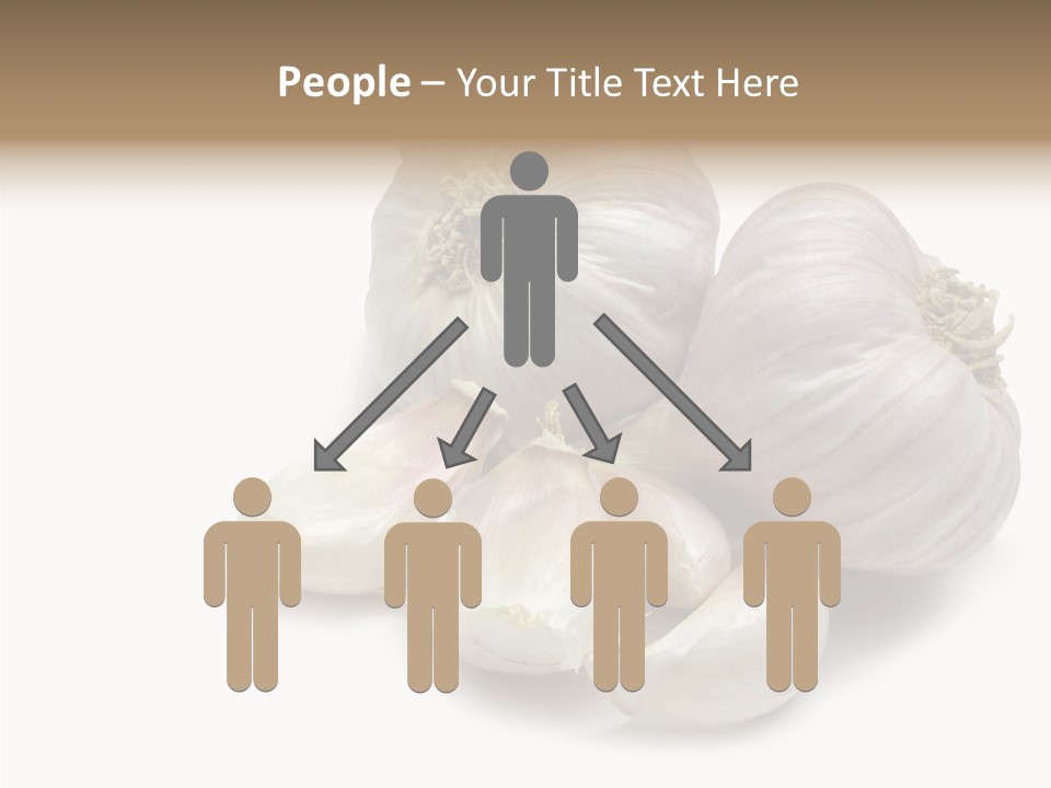 Flavor Allium Bulb PowerPoint Template