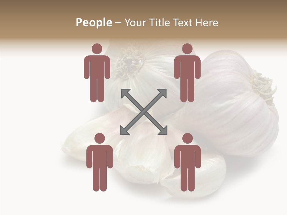 Flavor Allium Bulb PowerPoint Template
