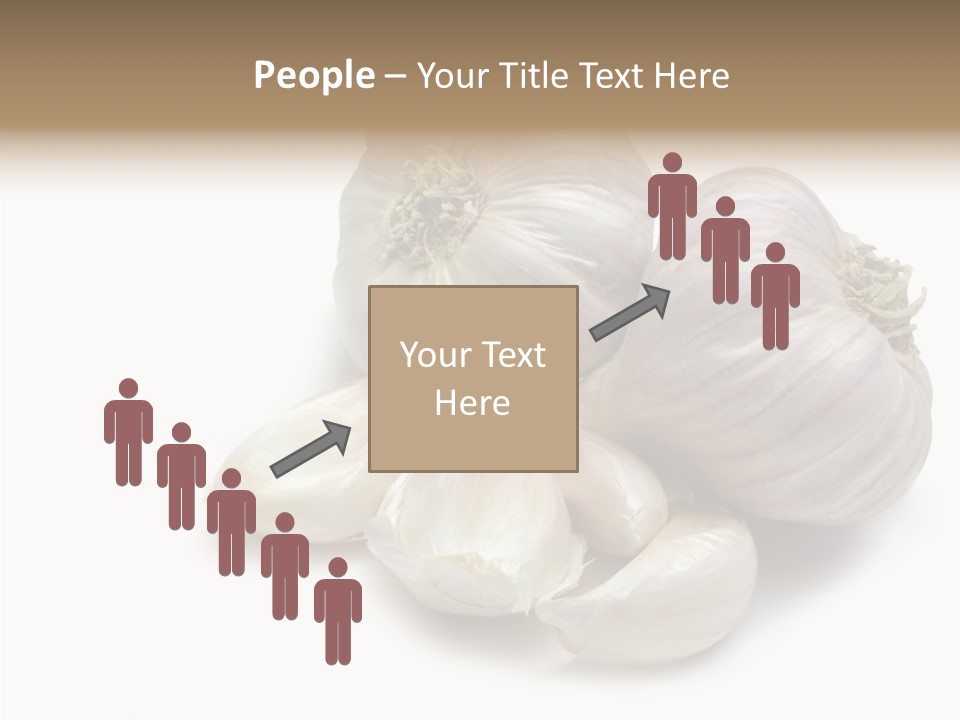 Flavor Allium Bulb PowerPoint Template