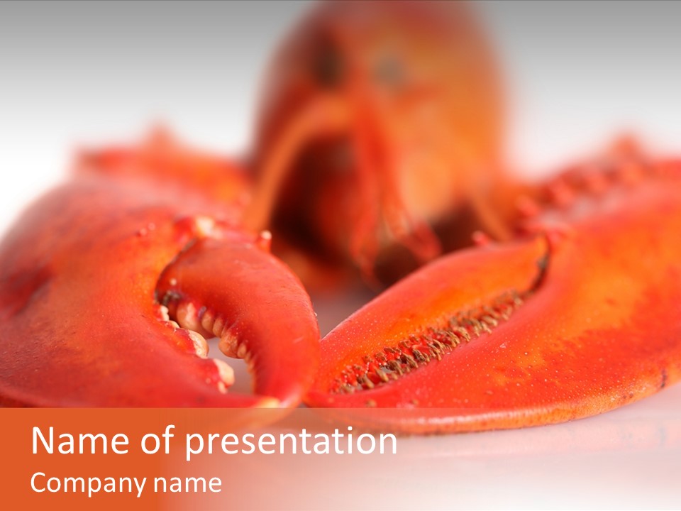Isolated Delicatessen Full PowerPoint Template