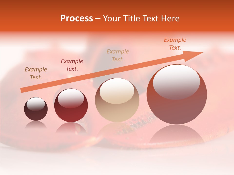Isolated Delicatessen Full PowerPoint Template