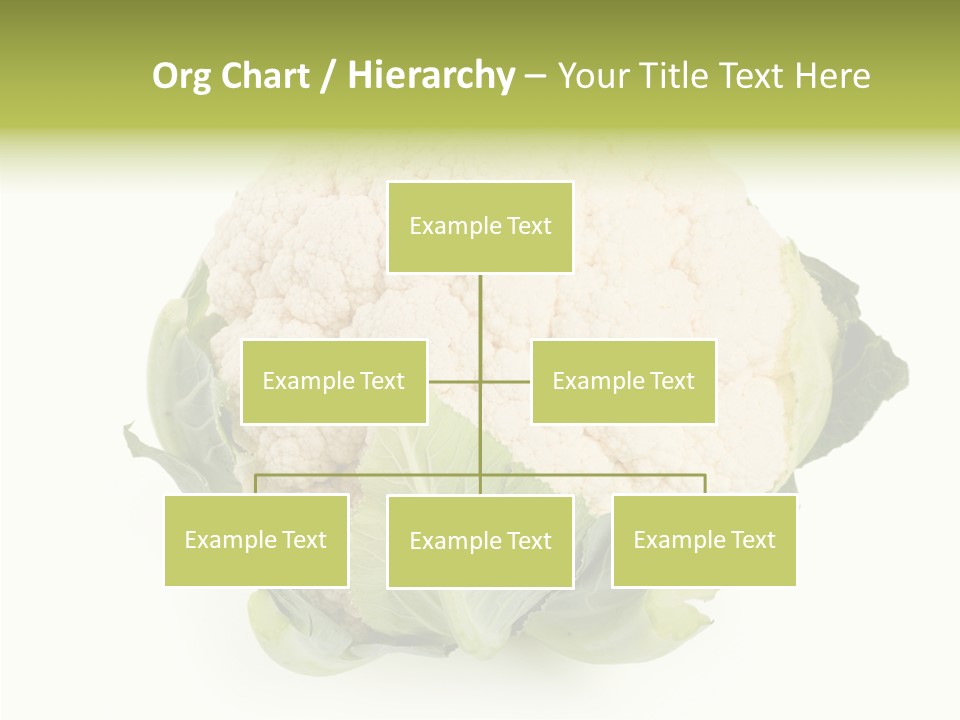 Healthful Fresh Food PowerPoint Template
