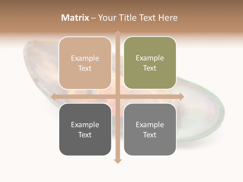 Fish Shellfish Seafood PowerPoint Template