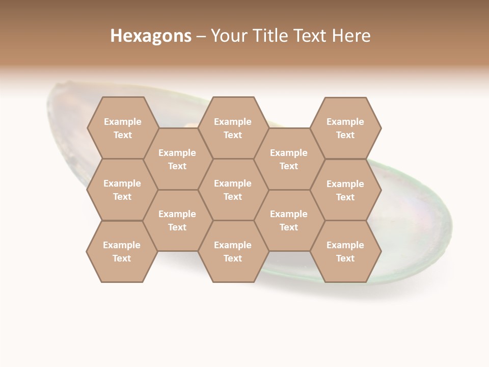 Fish Shellfish Seafood PowerPoint Template