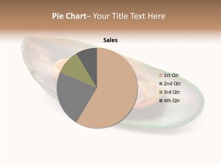 Fish Shellfish Seafood PowerPoint Template