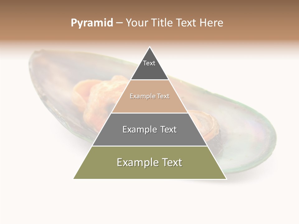 Fish Shellfish Seafood PowerPoint Template