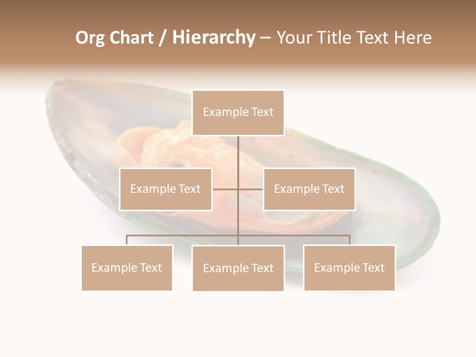 Fish Shellfish Seafood PowerPoint Template