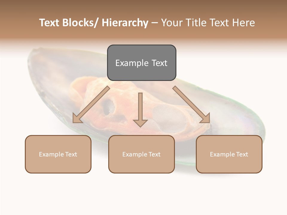 Fish Shellfish Seafood PowerPoint Template
