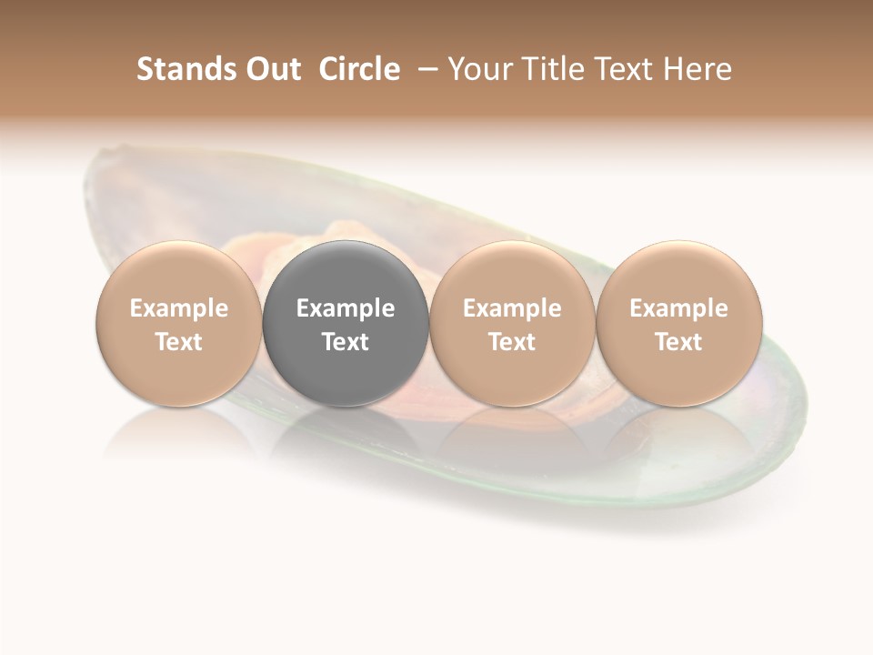 Fish Shellfish Seafood PowerPoint Template