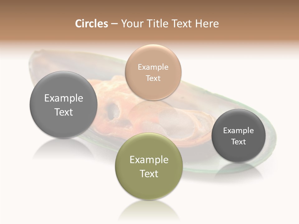 Fish Shellfish Seafood PowerPoint Template