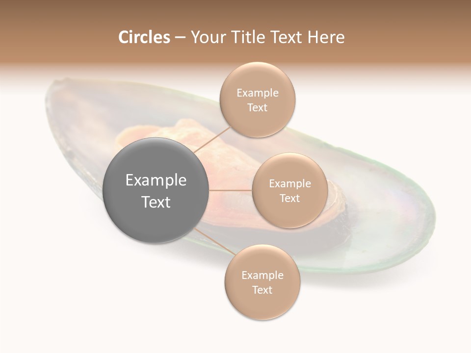 Fish Shellfish Seafood PowerPoint Template