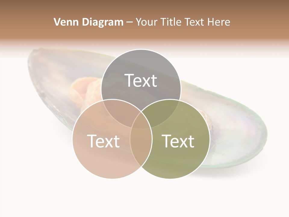 Fish Shellfish Seafood PowerPoint Template