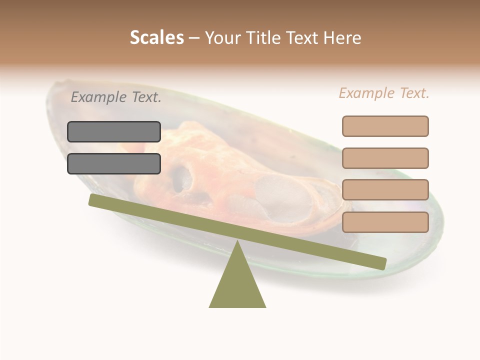 Fish Shellfish Seafood PowerPoint Template