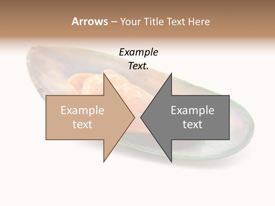 Fish Shellfish Seafood PowerPoint Template