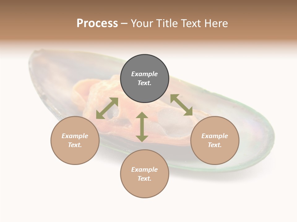 Fish Shellfish Seafood PowerPoint Template