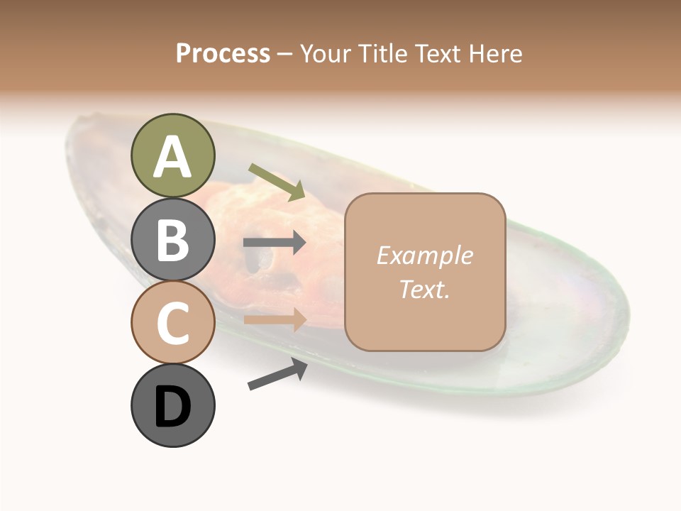 Fish Shellfish Seafood PowerPoint Template