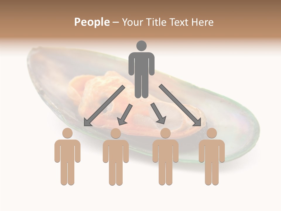 Fish Shellfish Seafood PowerPoint Template