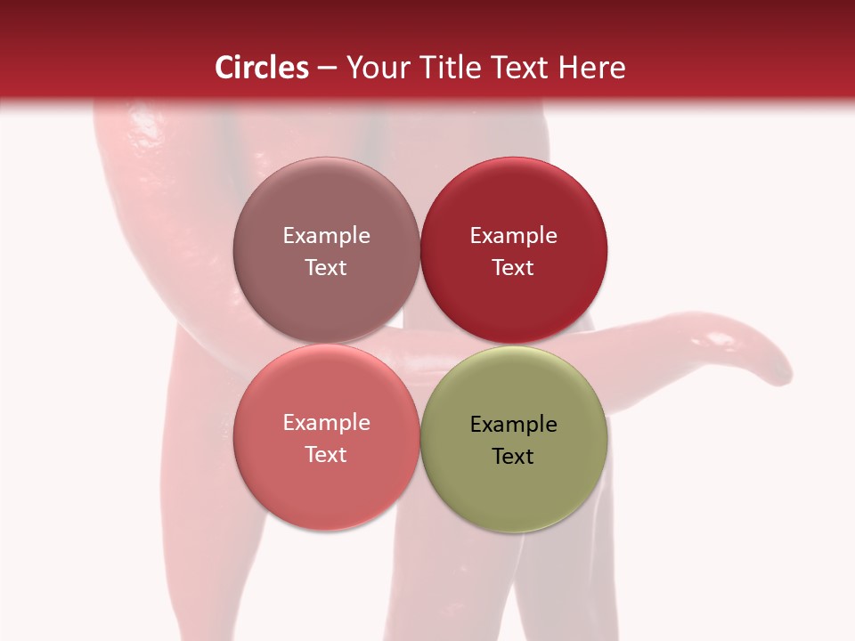 People Character Board PowerPoint Template