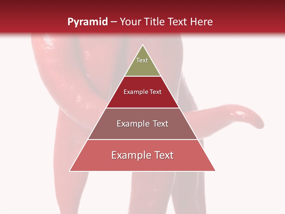 People Character Board PowerPoint Template
