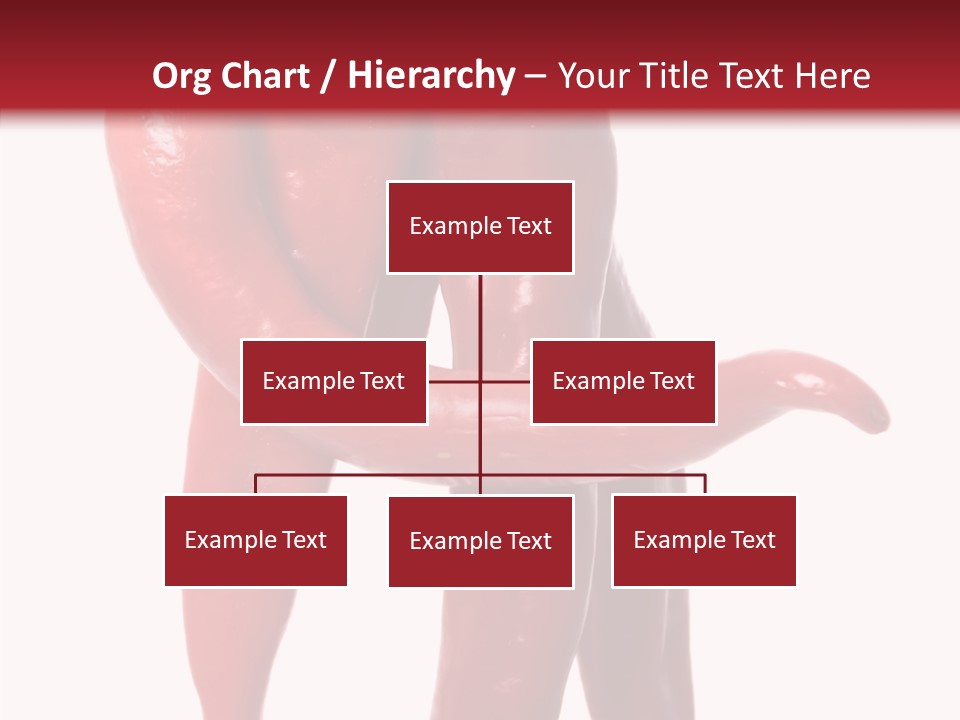 People Character Board PowerPoint Template