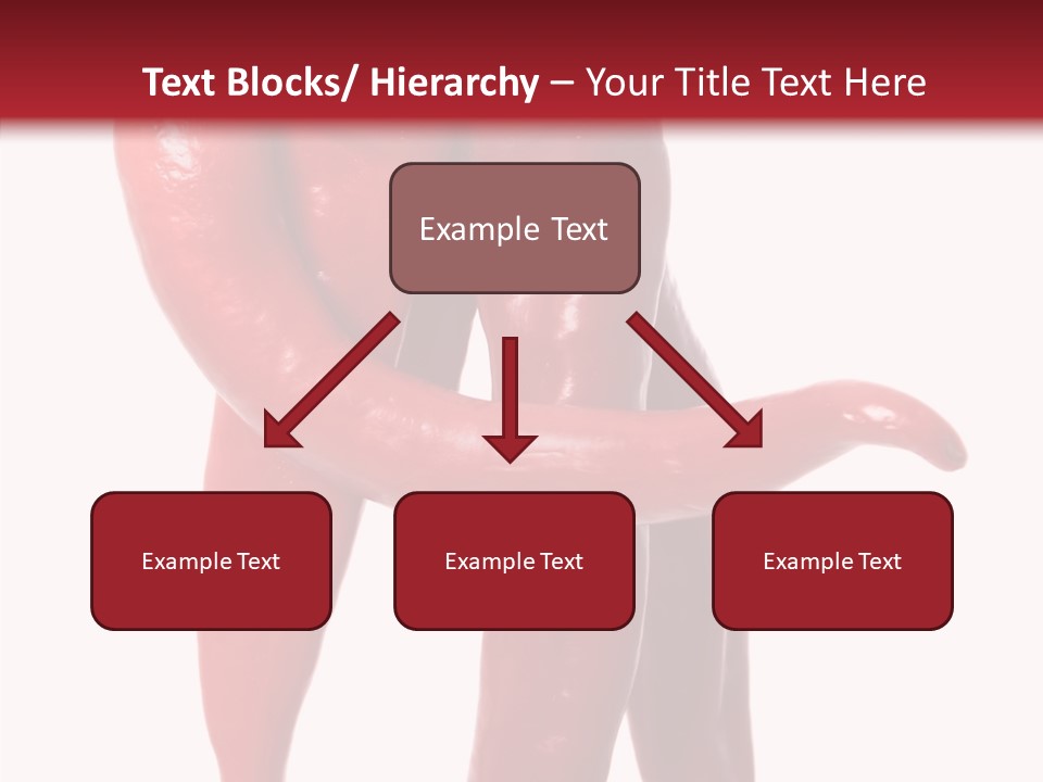People Character Board PowerPoint Template